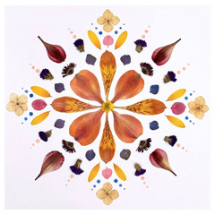 AMC_MW_TrustYourself_11.21.25