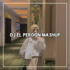 DJ El Perdon Mashup - Slowed + Reverb .mp3