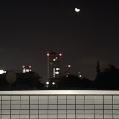 夜は更けて余命を感じちゃって(hook demo)