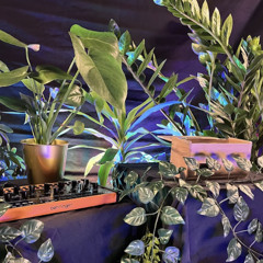 Alocasia odora Plant Synth Session | Biodata Sonification + Atmosphere