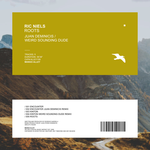 Premiere: Ric Niels - Encounter [Mango Alley]