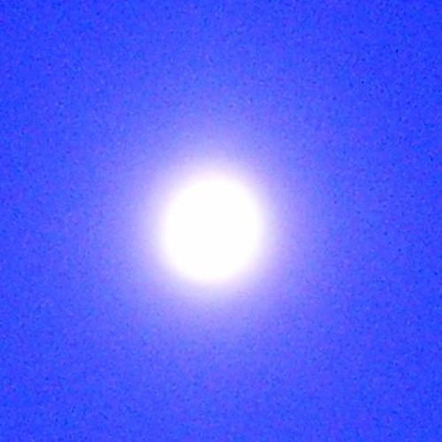 ::::>>>>::Moonlight Discord::::::Naviar Haiku 508