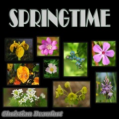 Springtime