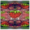 Ykvon - Strawberrysheets