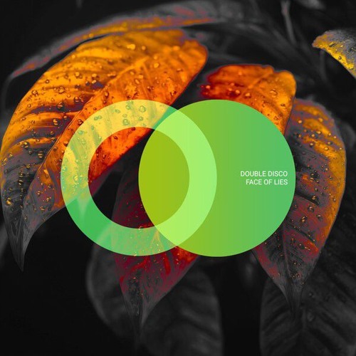 Double Disco - Face of Lies (Original Mix)