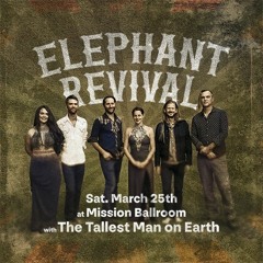 Local Gold: Elephant Revival