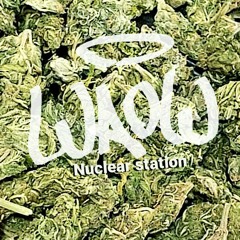 Waow x Nuclear station (aleteo-guaracha-zapateo-bass music-tribal house)