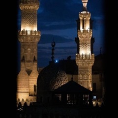 وَيَوْمَ يَعَضُّ الظَّالِمُ عَلَى يَدَيْهِ يَقُولُ يَا لَيْتَنِي اتَّخَذْتُ مَعَ الرَّسُولِ سَبِيلا