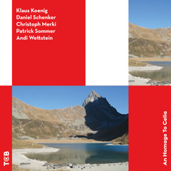 Es Sungen Drei Engel (feat. Daniel Schenker, Andi Wettstein, Christoph Merki & Patrick Sommer)