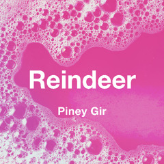 Reindeer - Piney Gir
