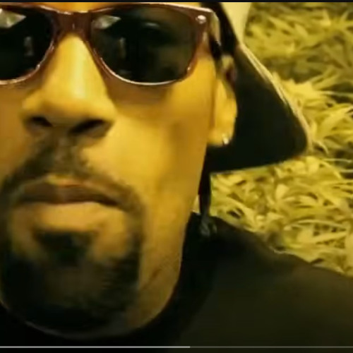 Code name Cheech LDSR 420 Showcase