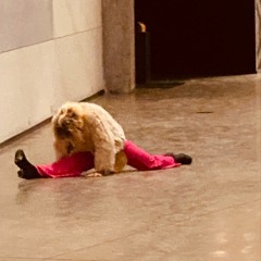 A Fresh, New Diagnosis