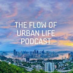 Introducing The Flow of Urban Life