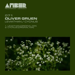 Oliver Gruen - Cycnus (Original Mix) Snippet