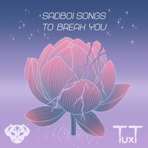 SADBOI SONGS TO BREAK YOU