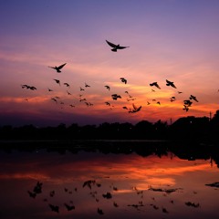 PTSD: Trying to Let Go
