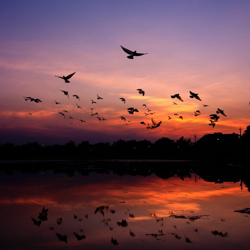 PTSD: Trying to Let Go
