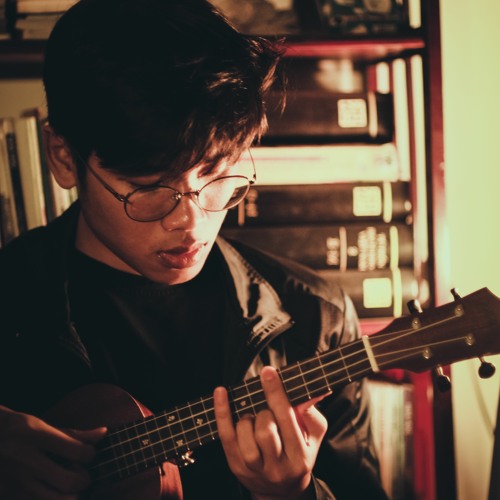 Nguyễn Đình Long theme song