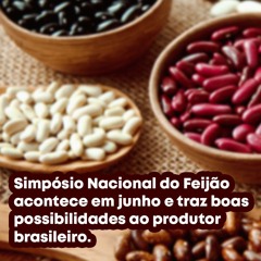 Simpósio Nacional do Feijão acontece em junho e traz boas possibilidades ao produtor brasileiro