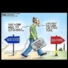 A Sucker Is Born Every Day