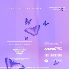 Lost - Carter Morris, Will Rubert (Nico PS Remix)