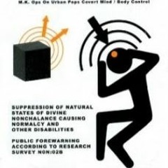 It's A Shelf's Hysteria