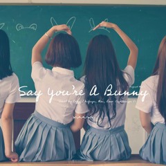 Say You're A Bunny / Popy, Chifuyu, Mai, Rosa (Synthesizer V)
