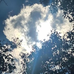 Speak To Me By Mikey Watkins