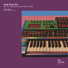 Andy Perez Itm - We Are All Someone in the World [Bar Melodia]