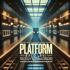 Platform