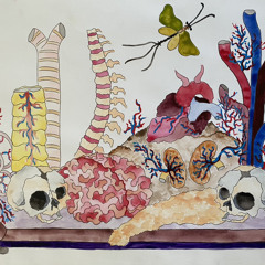 From The Ashes Of Filth