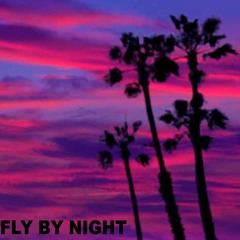 FLY BY NIGHT