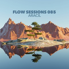 Flow Sessions 085 - Aracil