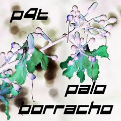 Palo Borracho