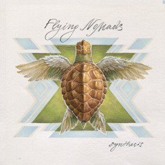Omen - album Synthesis by Flying Nomads