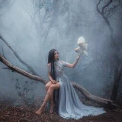 The Owl And The Vow