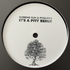 Its A Pity Remix - DubbingSun & PiyaZawa