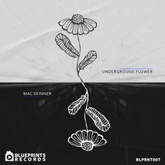 Mac Skinner - Underground Flower (Cantos Lysergic Mix) [Blueprints Records] BLPRNT007