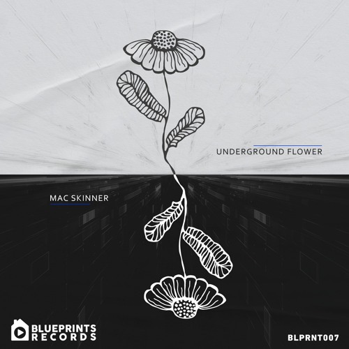 Mac Skinner - Underground Flower (Cantos Lysergic Mix) [Blueprints Records] BLPRNT007