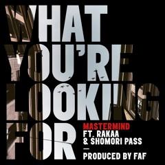 Mastermind ft. Rakaa Iriscience - what you're looking for RMX
