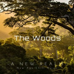 The Woods | Relaxing | New Age Chill Music