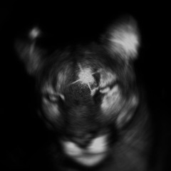 DAMAGE - STEAL MY HEART (SLOWED - OFFICIAL AUDIO)