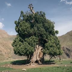 Improvisation |آبان ماه ۰۴ - بداهه نوازی