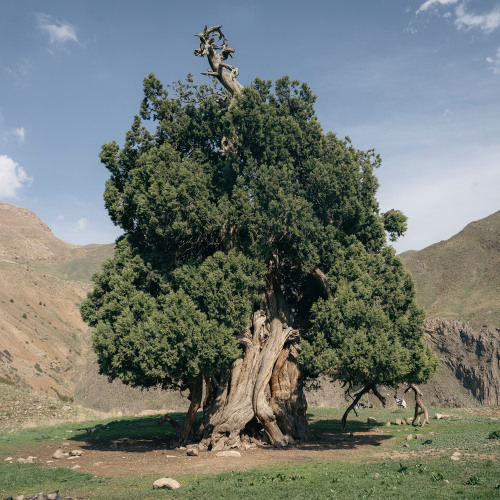 Improvisation |آبان ماه ۰۴ - بداهه نوازی