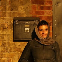 Kestrel Explorations w/ mellowdramatics 190923