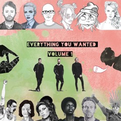 Everything You Wanted "Volume 1"
