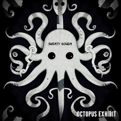 Octopus Exhibit - Sweaty Gouda