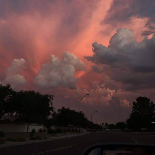 what for? w/ halfhearted