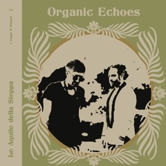 Chapter 14 - Le Aquile Della Steppa by Organic Echoes