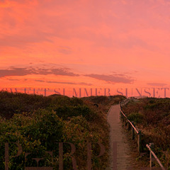 BFM 033025 Sweet Summer Sunset